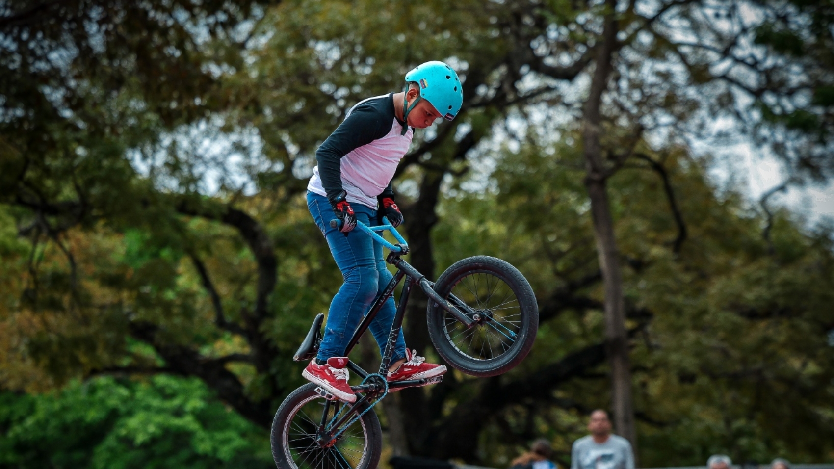 BMX (1)
