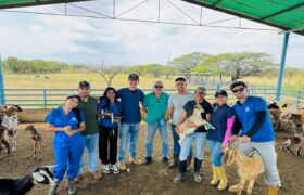 Mincyt realiza taller básico de ecografía reproductiva en bovinos para médicos veterinarios en Falcón