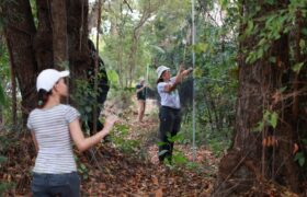 Jardín Botánico de Caracas será primer Observatorio de Aves Urbano de Venezuela