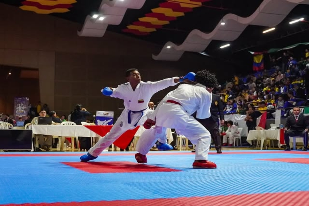 Karate (3)