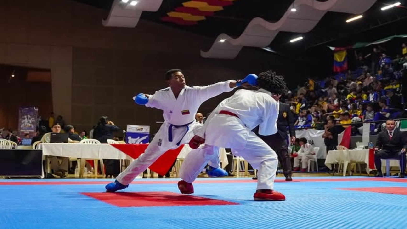 Karate (3)