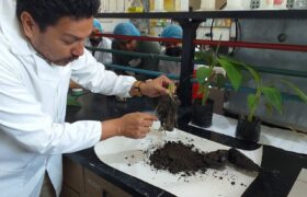 OIEA y Venezuela unen esfuerzos para combatir patógenos con bioproductos