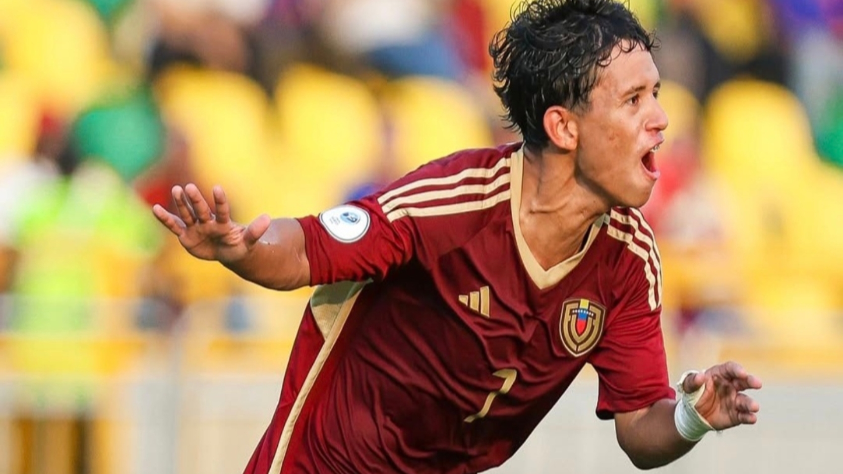 Vinotinto (2)