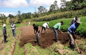 Presidente Maduro conmemora este Jueves Santo Día Mundial de la Lucha Campesina