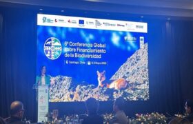 Venezuela debate soluciones financieras en Conferencia Mundial de la Biodiversidad