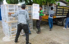 Entregan mil 200 mesas y sillas a instituciones educativas en Mariño, estado Aragua