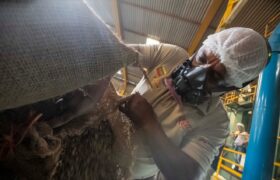 Industria civil y militar inicia exportación de café venezolano a Rusia