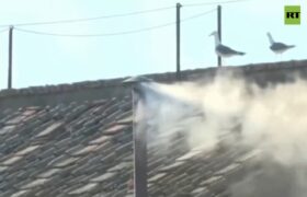 Humo blanco: el cónclave elige al nuevo papa