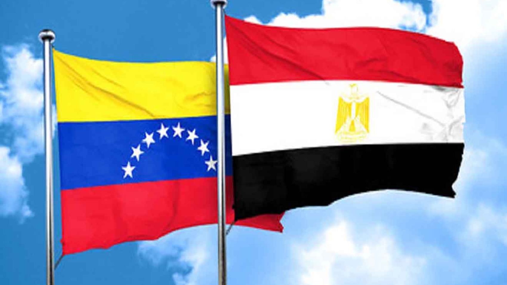 Internacional Antifascista de El Cairo exige la libertad de Maikelys Espinoza