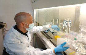 Investigadores de la Fundación Inzit se capacitan en manejo de PCR en tiempo real