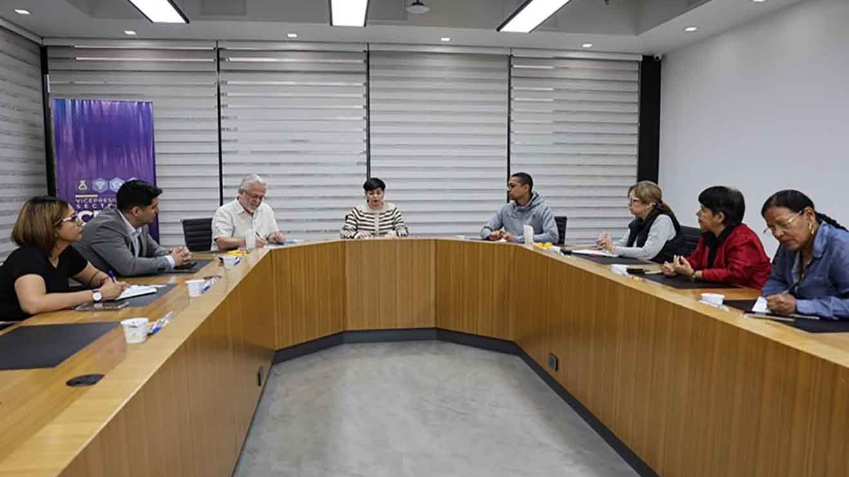 Vicepresidenta-sectorial- Venezuela y OPS