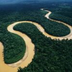 Venezuela participa en Foro de Ministras y Ministros de Ambiente de países Amazónicos