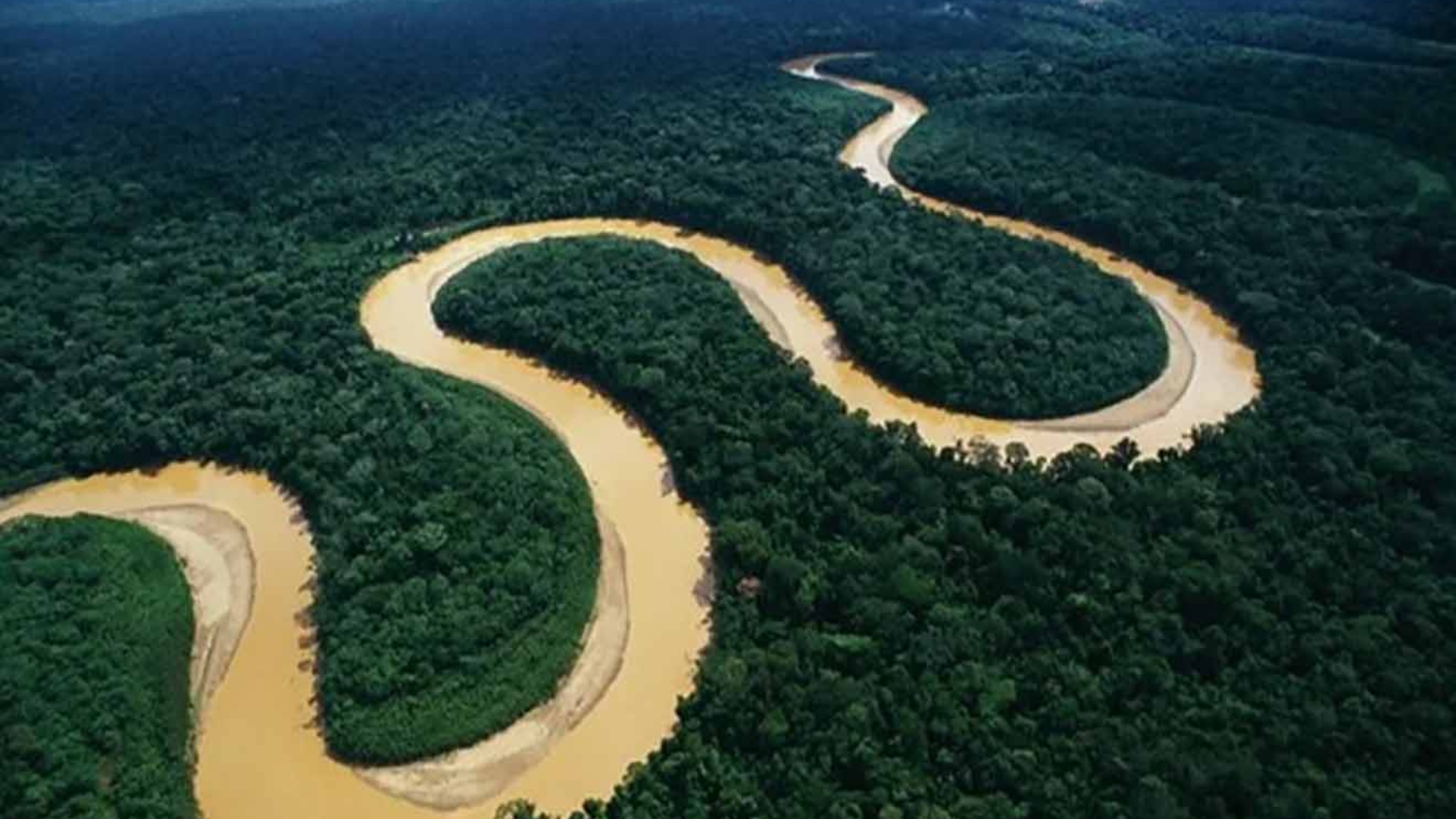 amazonia