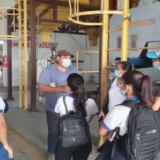 cereales apure
