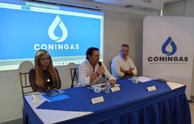 Reportan aumento en la frecuencia en despachos de bombonas de GLP