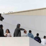migrantes
