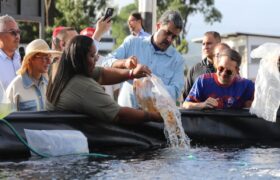 ‌Unacom producirá 15 toneladas de pescado tilapia para los próximos seis meses