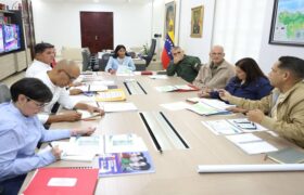 Consejo de Vicepresidentes evaluó estrategias para el desarrollo nacional