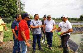 Gobierno Bolivariano impulsa estrategias para potenciar la producción agrícola en Guaitoco