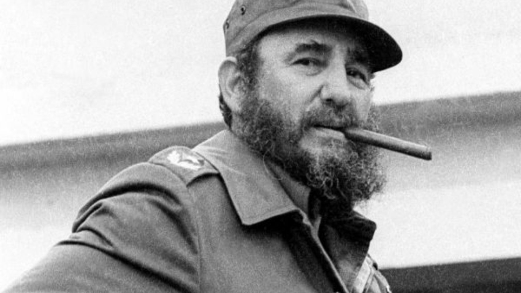 Fidel