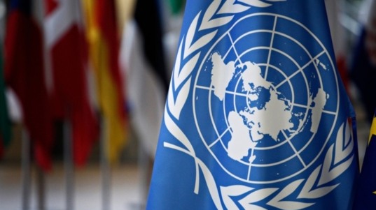 ONU (1)