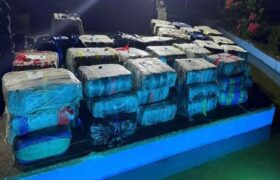 GNB y PNB incautan más de 3 toneladas de presunta marihuana en Apure y Falcón