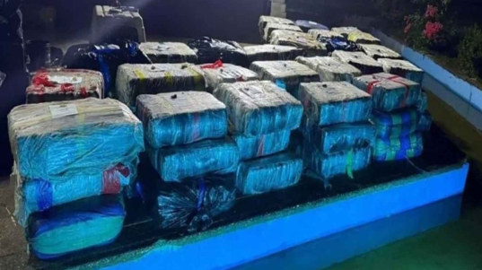 Operativo incautación de drogas