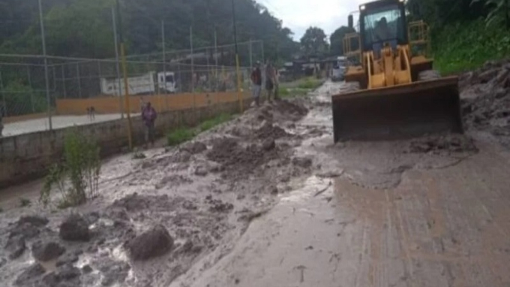 Tachira