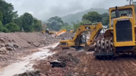 Tachira (2)