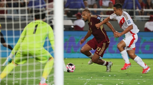 Vinotinto