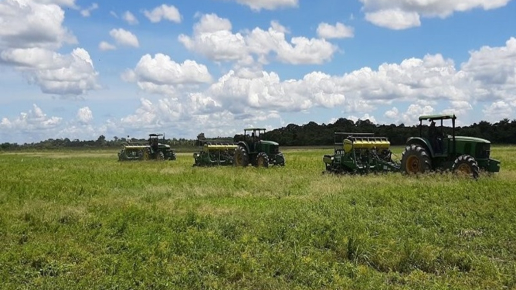 campo-portuguesa
