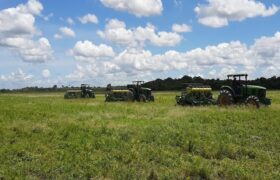 Venezuela pone a disposición tierras para proyecto de soberanía alimentaria AgroAlba