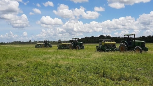 campo-portuguesa