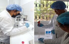 ACAV desarrolla proyectos de investigación para fortalecer la apicultura en el país