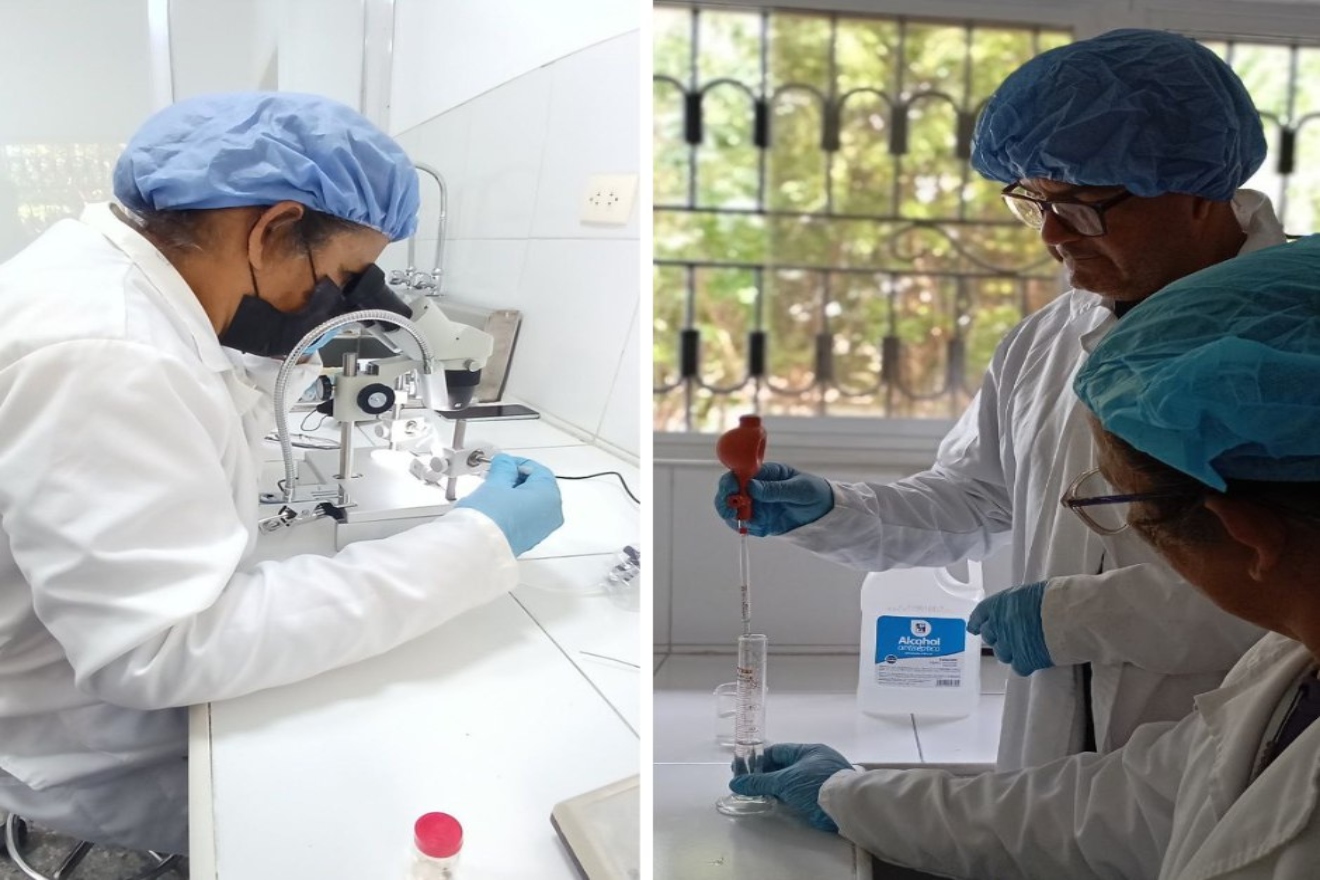 ciencia