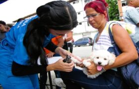 Más de 200 mascotas atendidas en jornada veterinaria en Charallave