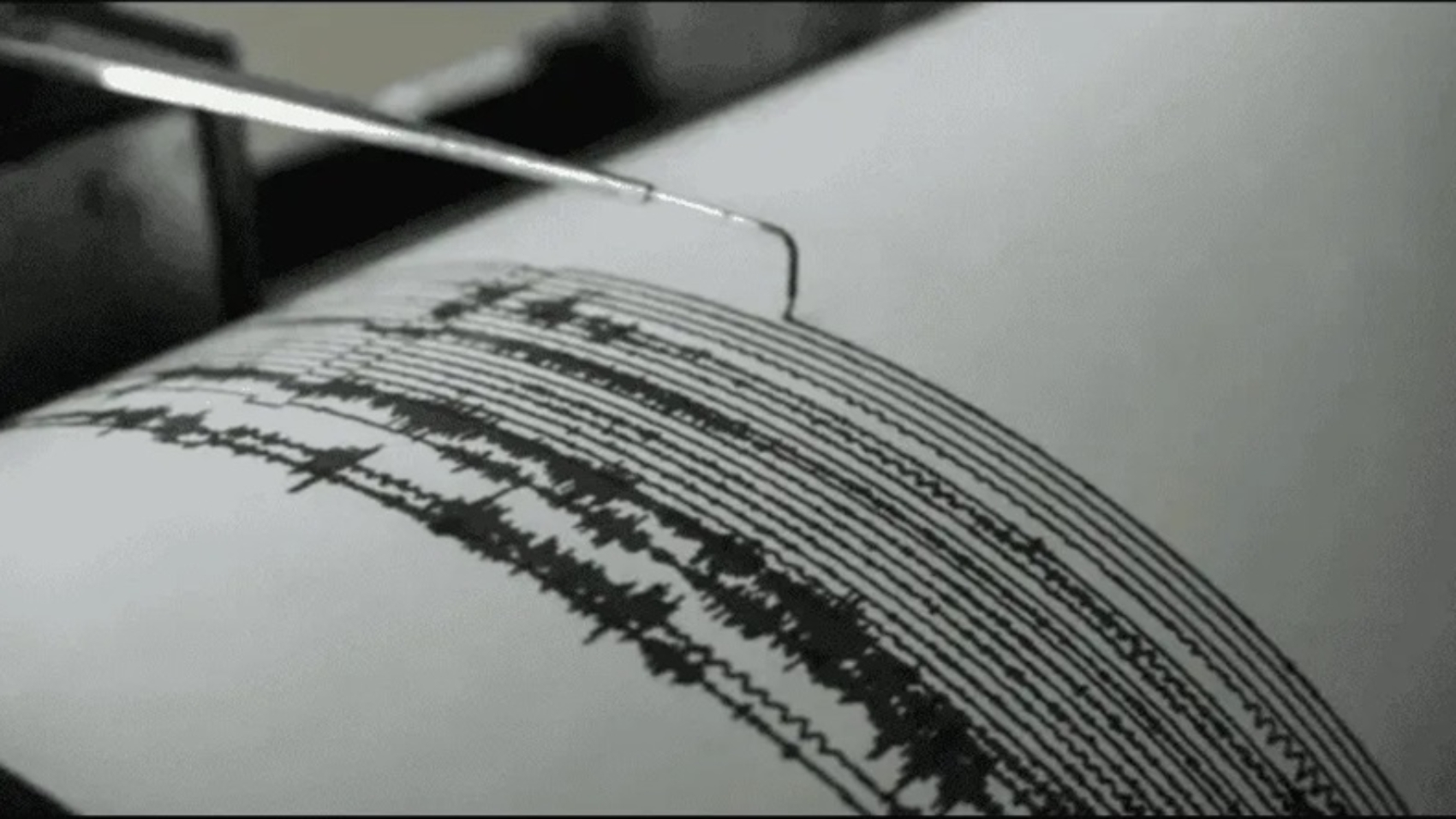 sismo_-_efe_version1747017744698_crop1748913661735.png_1970638775