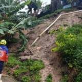 tachira-5