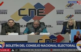 CNE anuncia participación superior al 44% en elecciones municipales y Consulta Juvenil