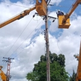 Aragua (16)