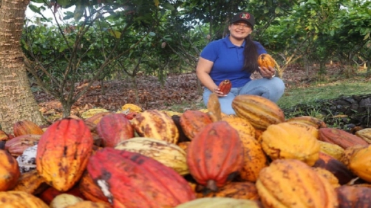 CACAO-1