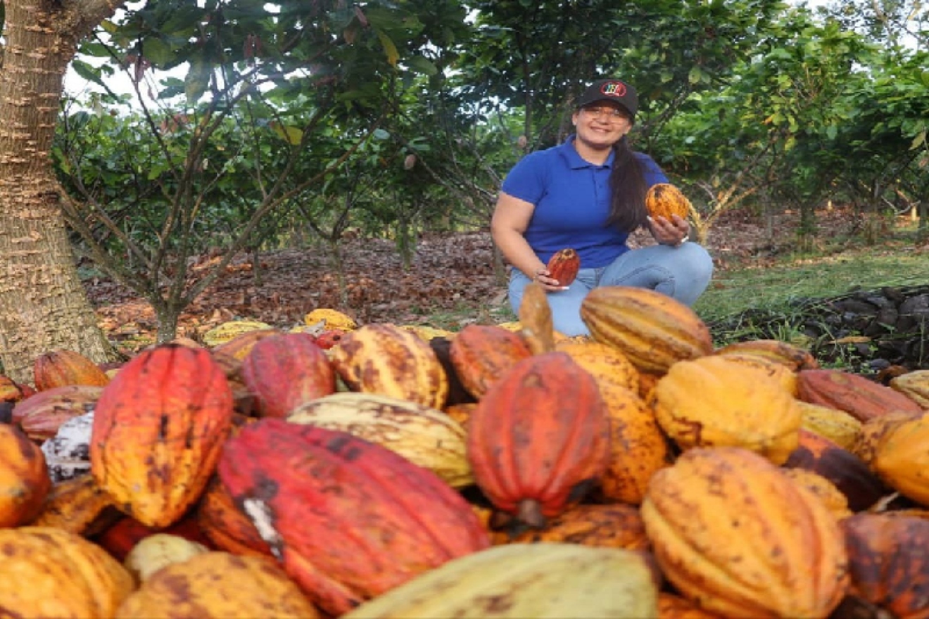 CACAO-1