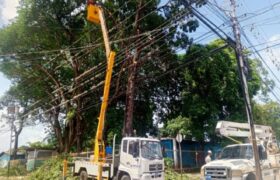 Corpoelec beneficia a más de 80 mil cojedeños con mantenimiento en redes eléctricas