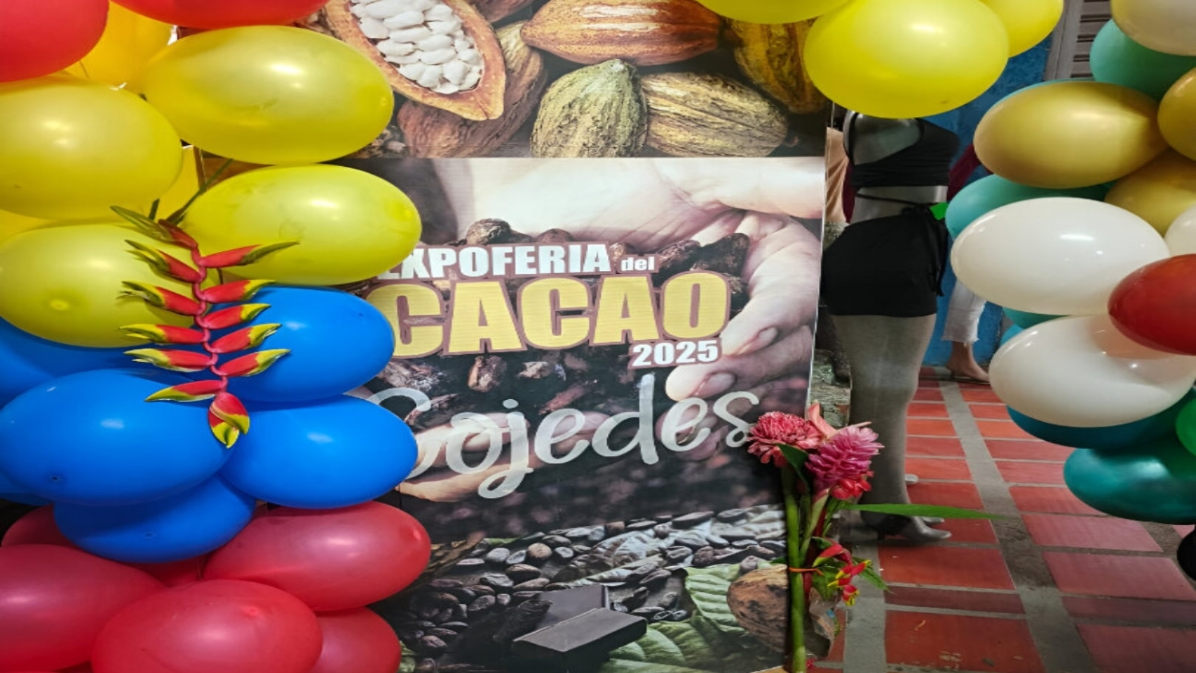 Cojedes (7)