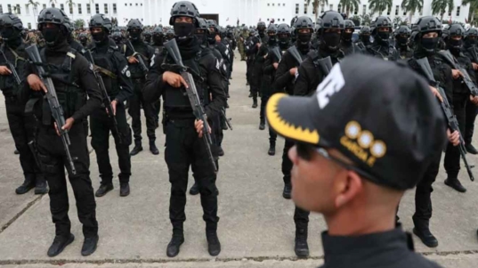 FANB cuerpos especiales