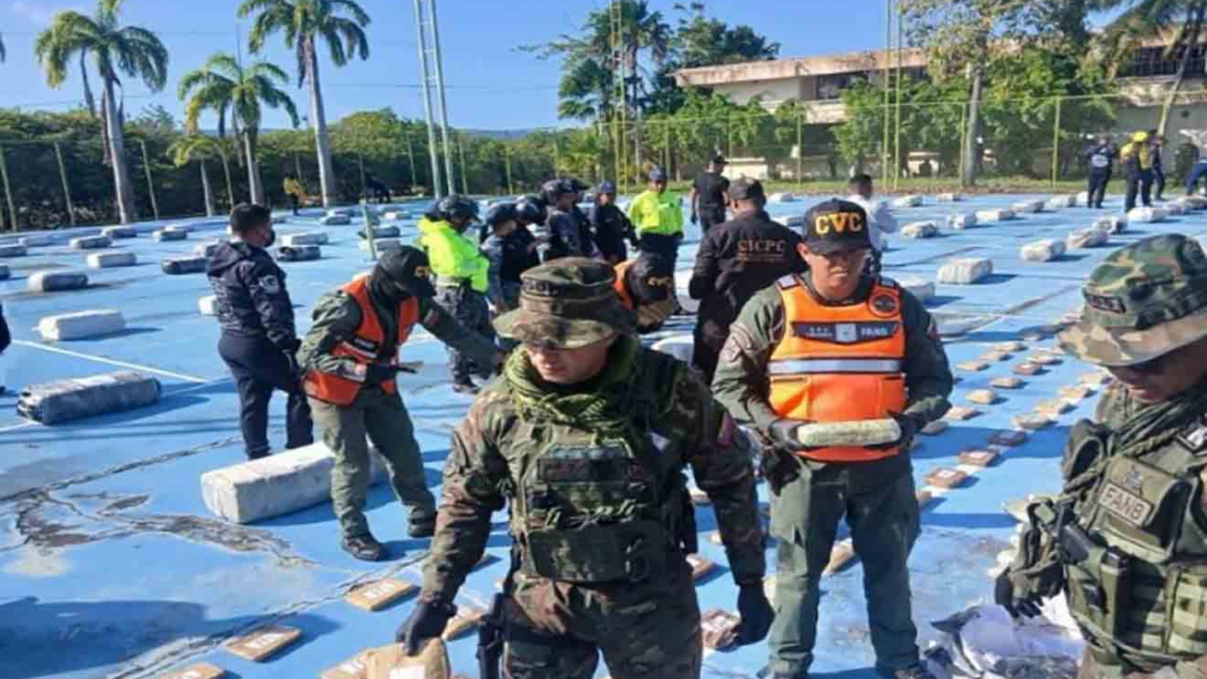 FANB y Cuerpos de Seguridad del Estado incautaron más de 3 toneladas de marihuana en Falcón