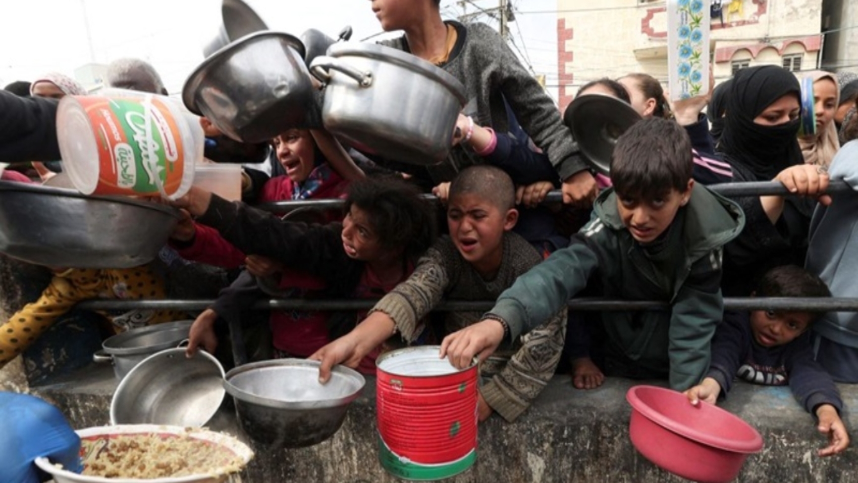 Gaza (6)