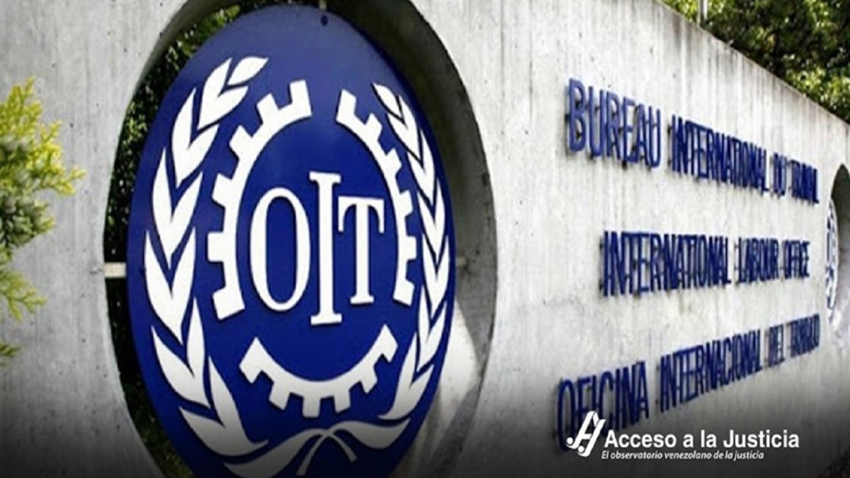 La_OIT_desmonta_el_mito_-de-un-_Gobierno-obrerista_-en-Venezuela