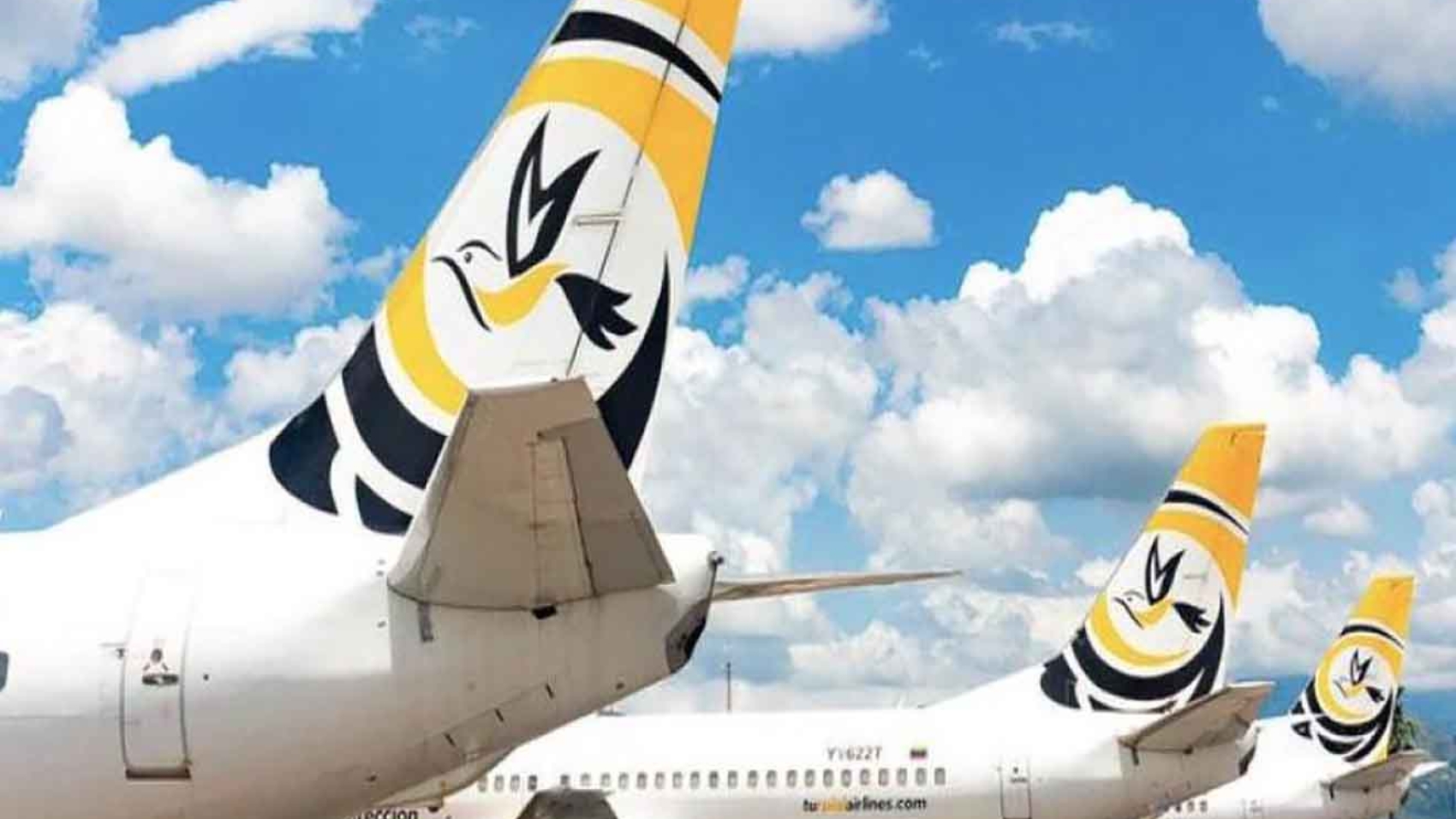 Turpial Airlines
