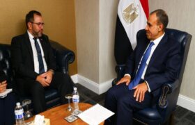 Venezuela y Egipto intercambian propuestas sobre Cumbre por la Paz y contra la Guerra